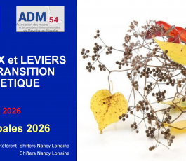Webinaire - Les enjeux et leviers de la transition énergétiques pour les élus