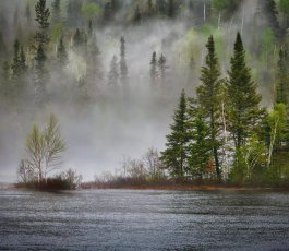 Dotation de soutien pour la protection de la biodiversité