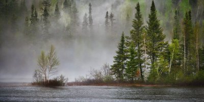 Dotation de soutien pour la protection de la biodiversité